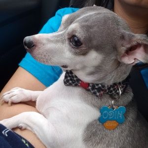 Meet your Posher, Irina